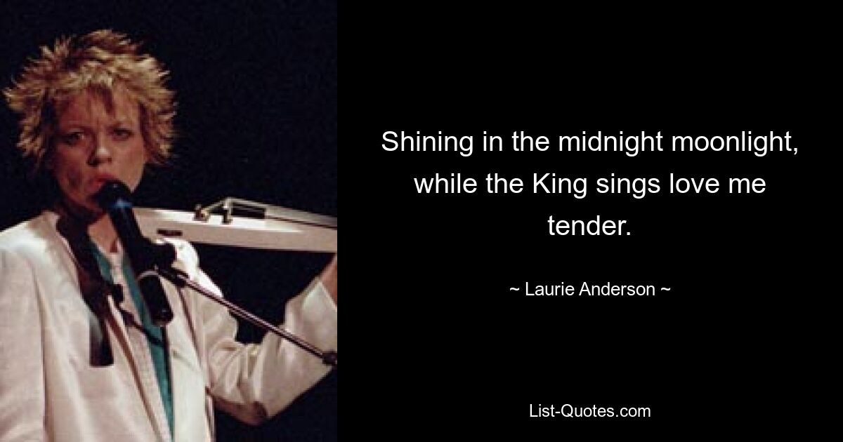 Shining in the midnight moonlight, while the King sings love me tender. — © Laurie Anderson