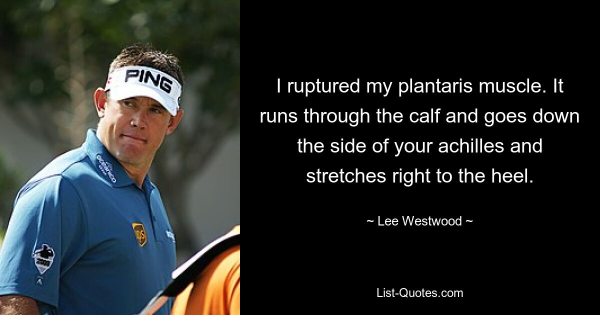 I ruptured my plantaris muscle. It runs through the calf and goes down the side of your achilles and stretches right to the heel. — © Lee Westwood