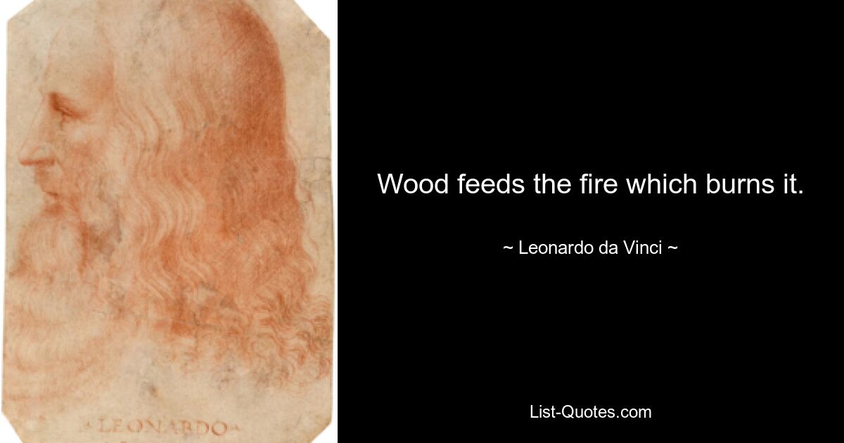 Wood feeds the fire which burns it. — © Leonardo da Vinci