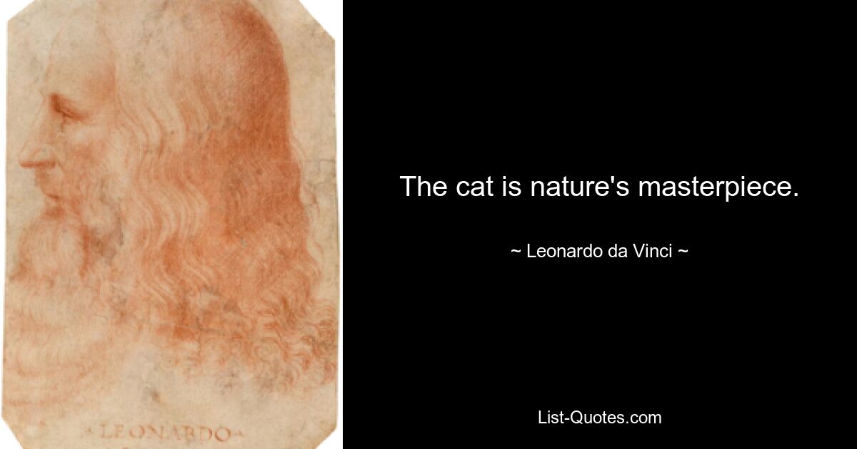 The cat is nature's masterpiece. — © Leonardo da Vinci