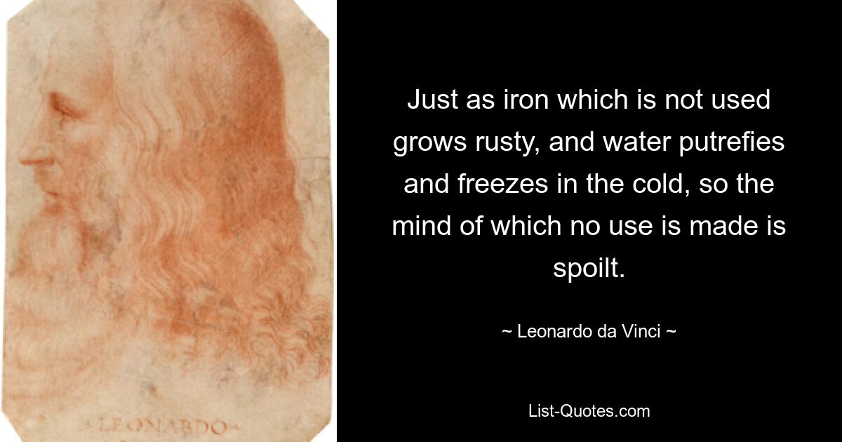 Just as iron which is not used grows rusty, and water putrefies and freezes in the cold, so the mind of which no use is made is spoilt. — © Leonardo da Vinci