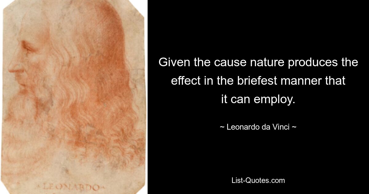 Given the cause nature produces the effect in the briefest manner that it can employ. — © Leonardo da Vinci