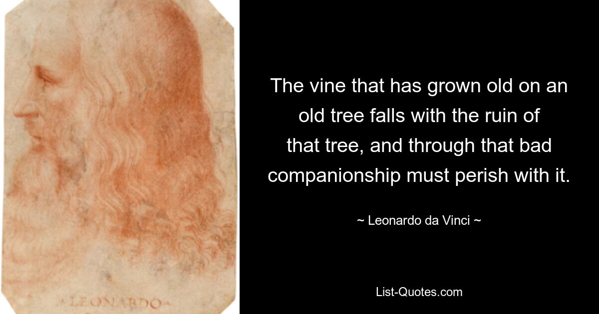 The vine that has grown old on an old tree falls with the ruin of that tree, and through that bad companionship must perish with it. — © Leonardo da Vinci