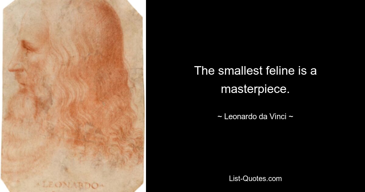 The smallest feline is a masterpiece. — © Leonardo da Vinci