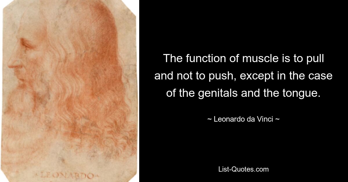 The function of muscle is to pull and not to push, except in the case of the genitals and the tongue. — © Leonardo da Vinci