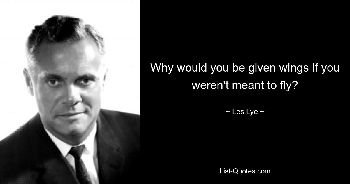 Why would you be given wings if you weren't meant to fly? — © Les Lye