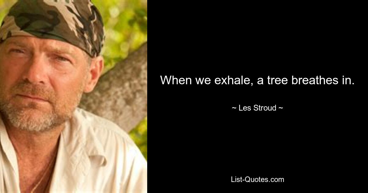 When we exhale, a tree breathes in. — © Les Stroud