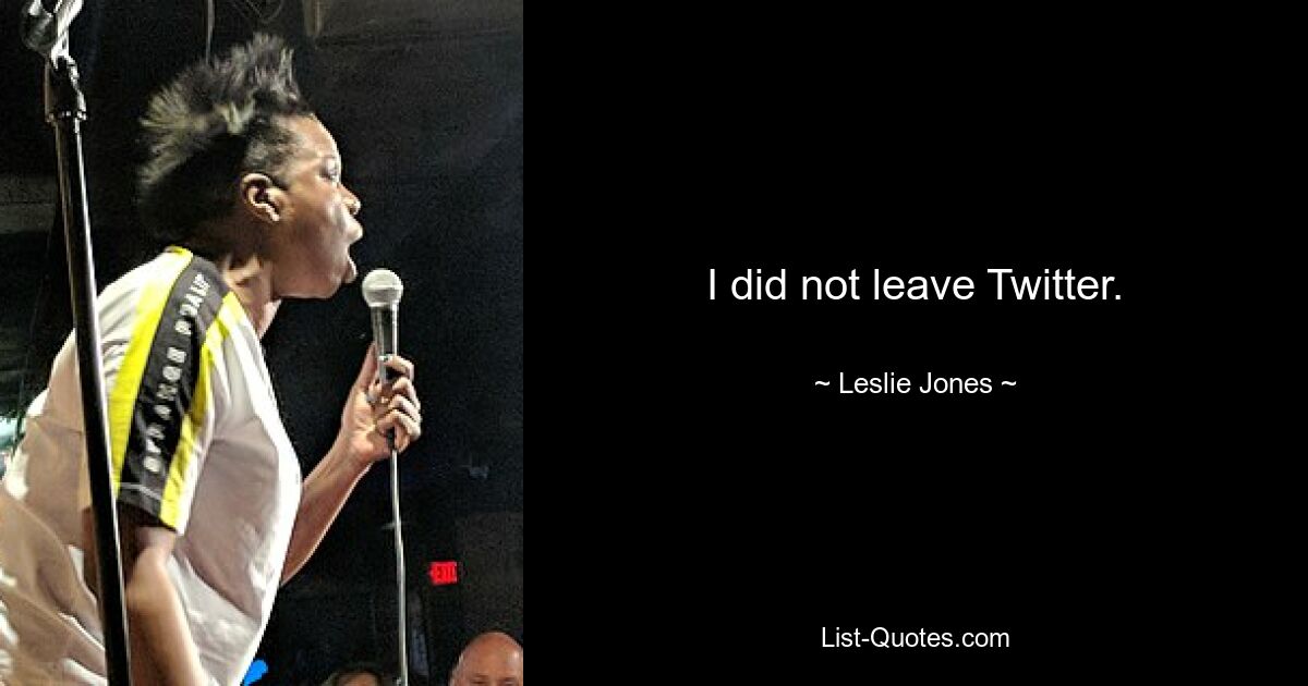 I did not leave Twitter. — © Leslie Jones