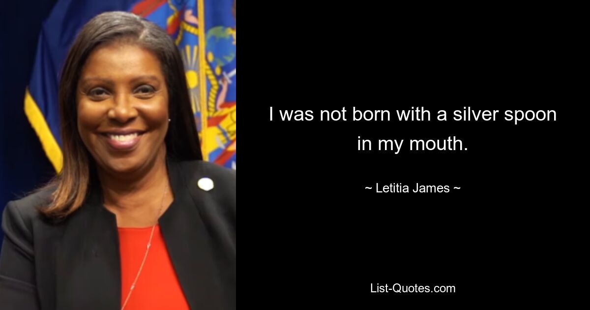 I was not born with a silver spoon in my mouth. — © Letitia James