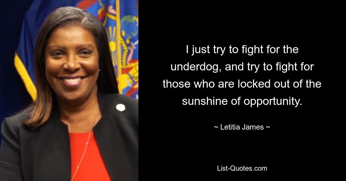 I just try to fight for the underdog, and try to fight for those who are locked out of the sunshine of opportunity. — © Letitia James