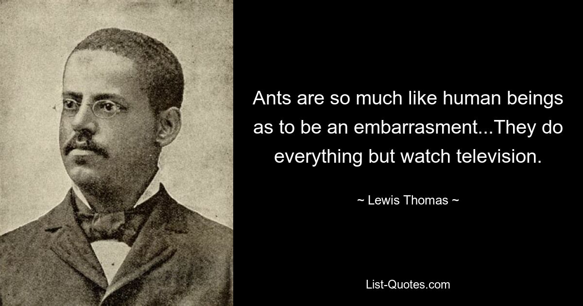 Ants are so much like human beings as to be an embarrasment...They do everything but watch television. — © Lewis Thomas