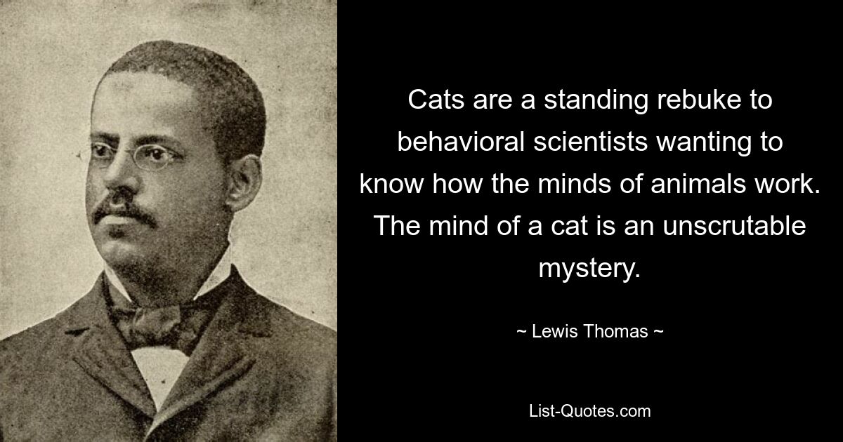 Cats are a standing rebuke to behavioral scientists wanting to know how the minds of animals work. The mind of a cat is an unscrutable mystery. — © Lewis Thomas