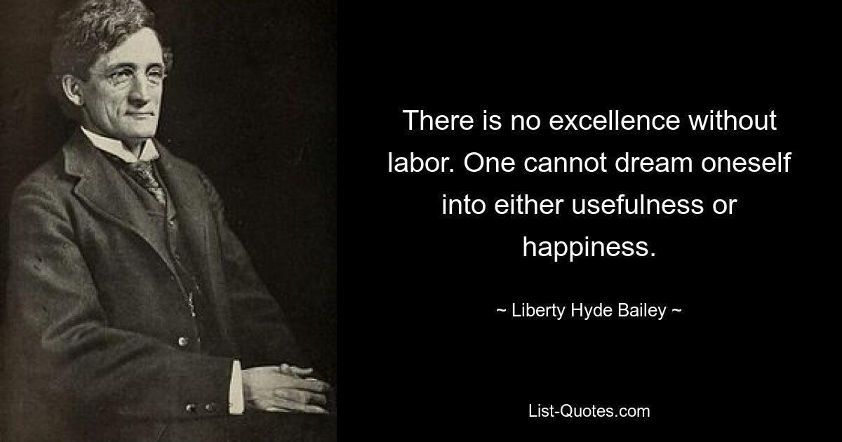 There is no excellence without labor. One cannot dream oneself into either usefulness or happiness. — © Liberty Hyde Bailey