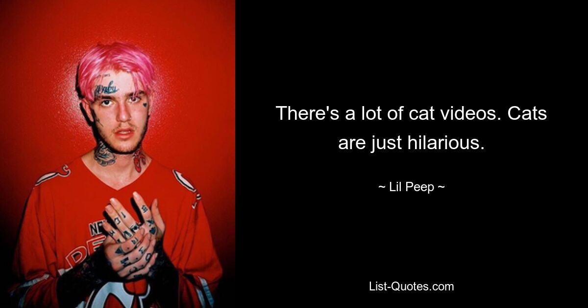 There's a lot of cat videos. Cats are just hilarious. — © Lil Peep