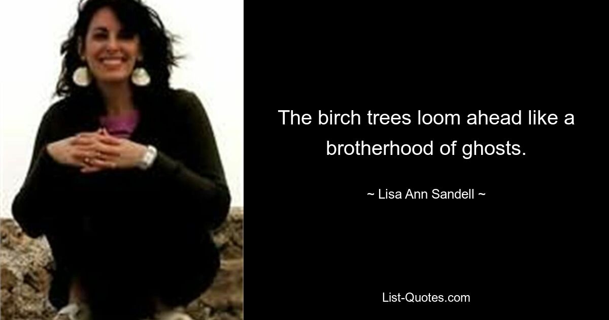 The birch trees loom ahead like a brotherhood of ghosts. — © Lisa Ann Sandell