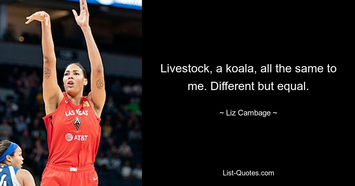 Livestock, a koala, all the same to me. Different but equal. — © Liz Cambage