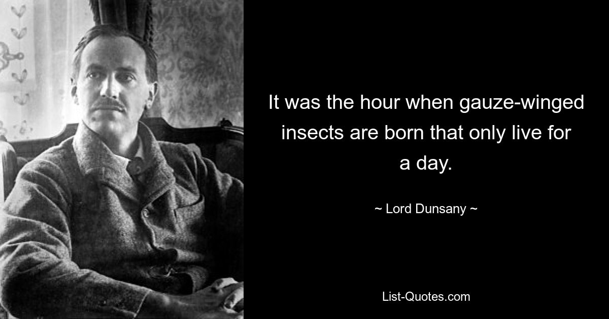 It was the hour when gauze-winged insects are born that only live for a day. — © Lord Dunsany