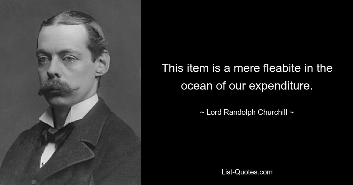 This item is a mere fleabite in the ocean of our expenditure. — © Lord Randolph Churchill