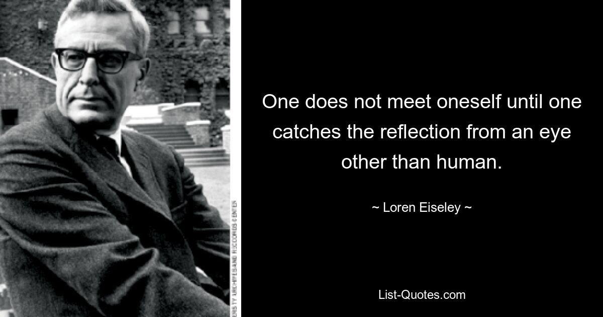 One does not meet oneself until one catches the reflection from an eye other than human. — © Loren Eiseley