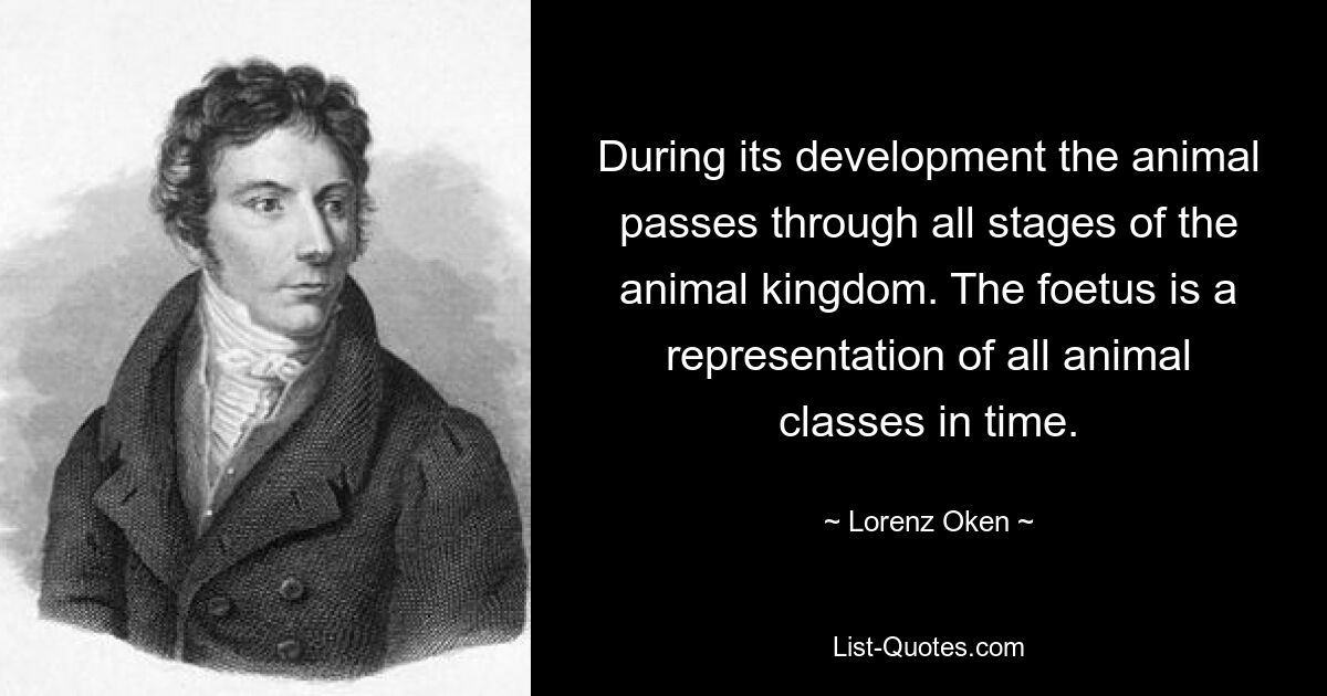 During its development the animal passes through all stages of the animal kingdom. The foetus is a representation of all animal classes in time. — © Lorenz Oken