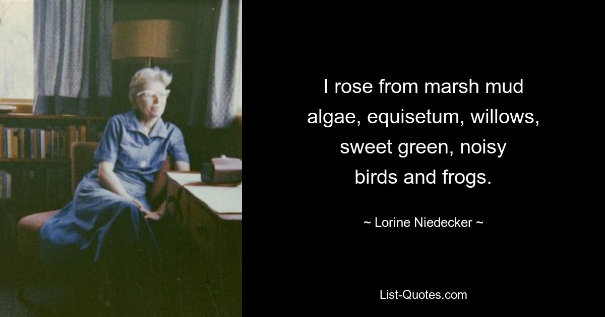 I rose from marsh mud
algae, equisetum, willows,
sweet green, noisy
birds and frogs. — © Lorine Niedecker