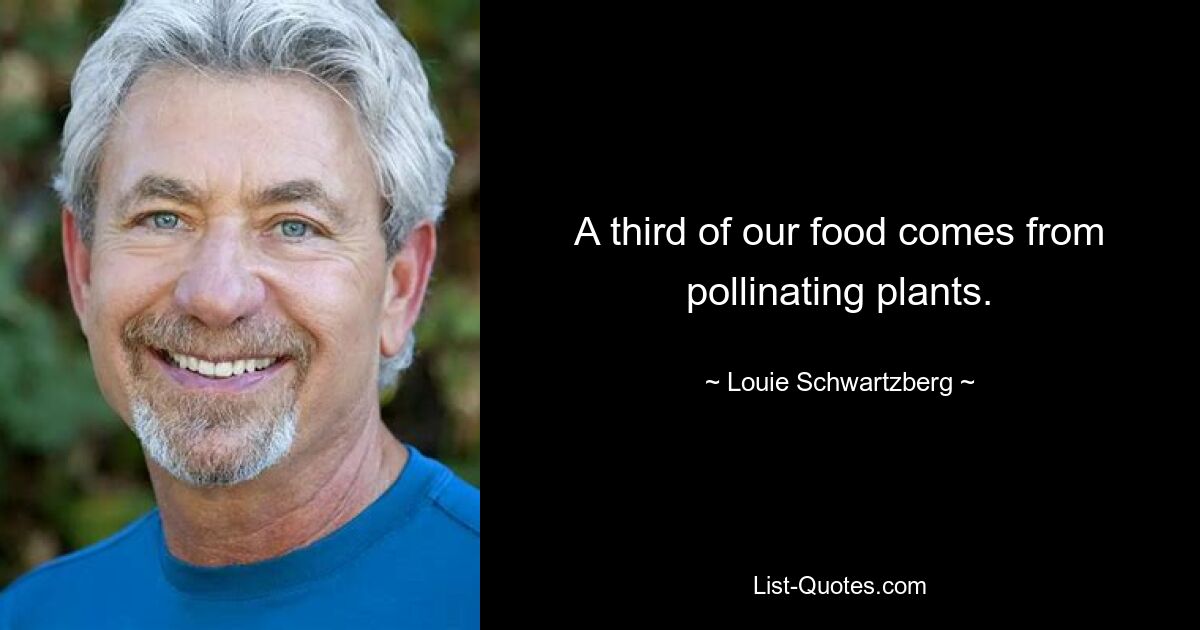 A third of our food comes from pollinating plants. — © Louie Schwartzberg