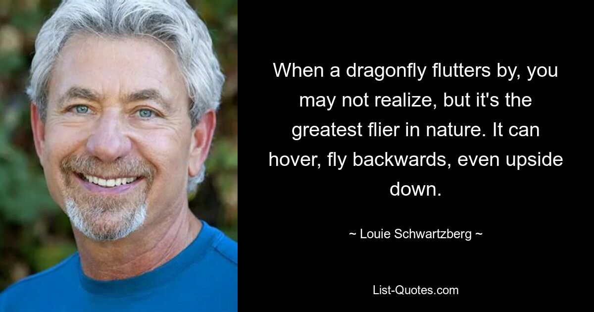 When a dragonfly flutters by, you may not realize, but it's the greatest flier in nature. It can hover, fly backwards, even upside down. — © Louie Schwartzberg