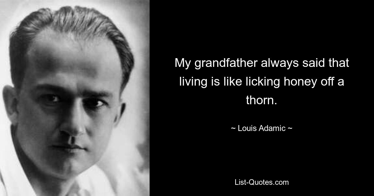 My grandfather always said that living is like licking honey off a thorn. — © Louis Adamic