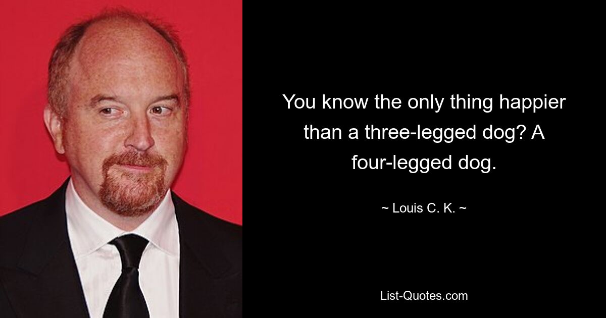 You know the only thing happier than a three-legged dog? A four-legged dog. — © Louis C. K.