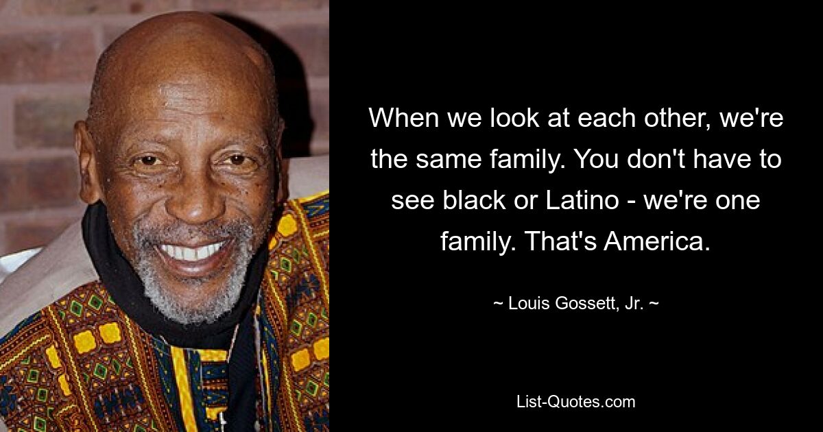 When we look at each other, we're the same family. You don't have to see black or Latino - we're one family. That's America. — © Louis Gossett, Jr.