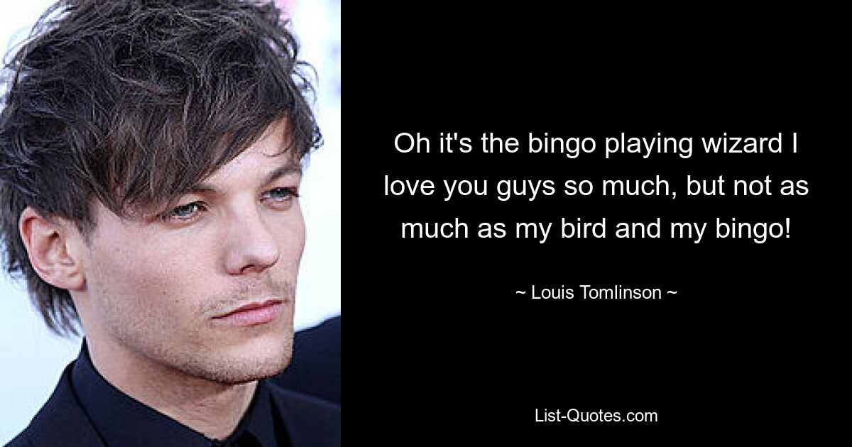 Oh it's the bingo playing wizard I love you guys so much, but not as much as my bird and my bingo! — © Louis Tomlinson