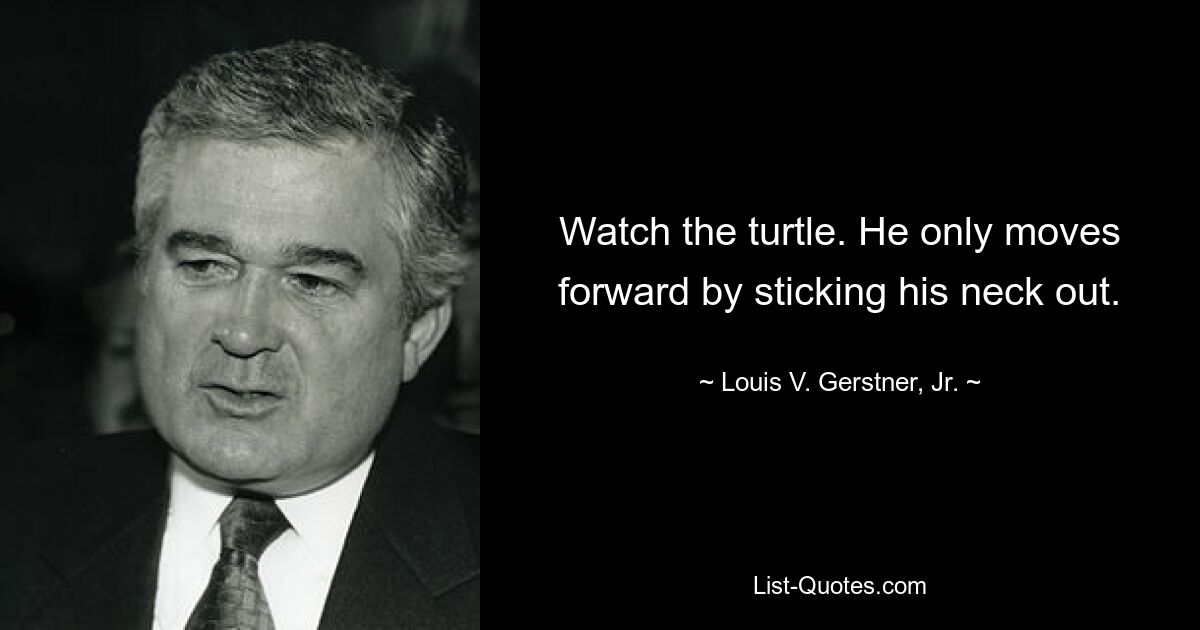 Watch the turtle. He only moves forward by sticking his neck out. — © Louis V. Gerstner, Jr.