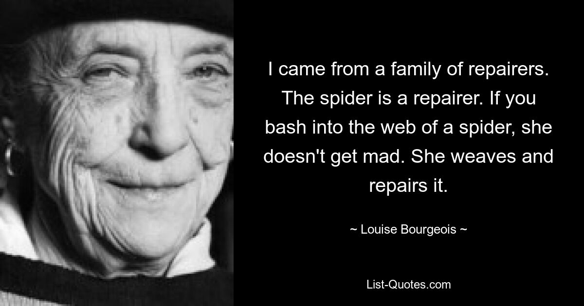 I came from a family of repairers. The spider is a repairer. If you bash into the web of a spider, she doesn't get mad. She weaves and repairs it. — © Louise Bourgeois