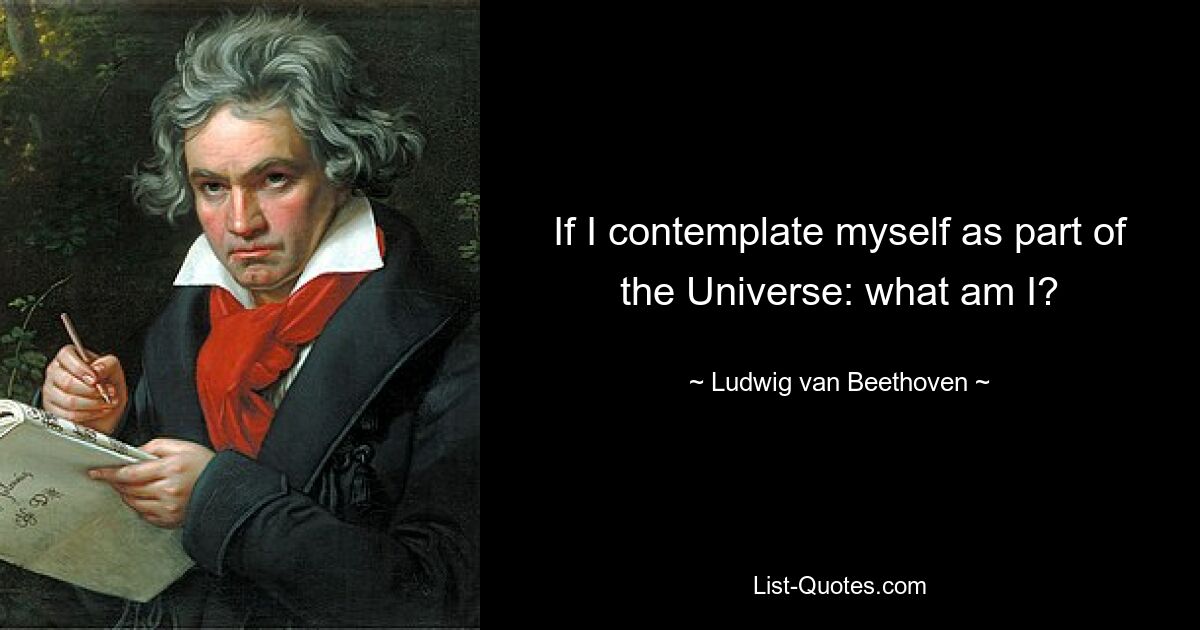 If I contemplate myself as part of the Universe: what am I? — © Ludwig van Beethoven