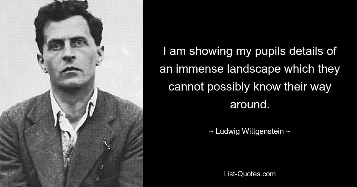 I am showing my pupils details of an immense landscape which they cannot possibly know their way around. — © Ludwig Wittgenstein