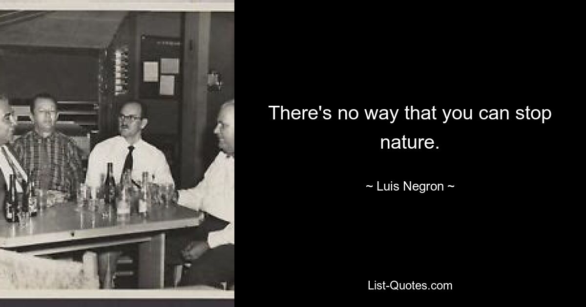 There's no way that you can stop nature. — © Luis Negron