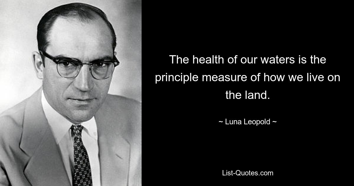 Здоровье наших вод является основным показателем того, как мы живем на суше. — © Луна Леопольд