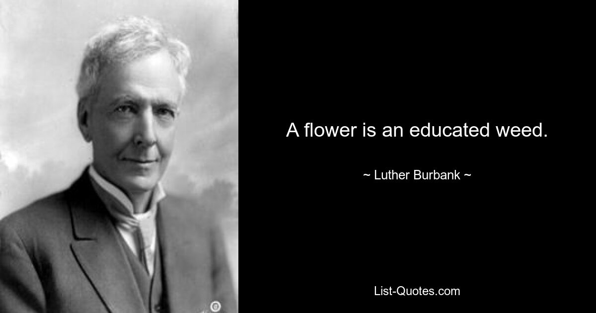 A flower is an educated weed. — © Luther Burbank