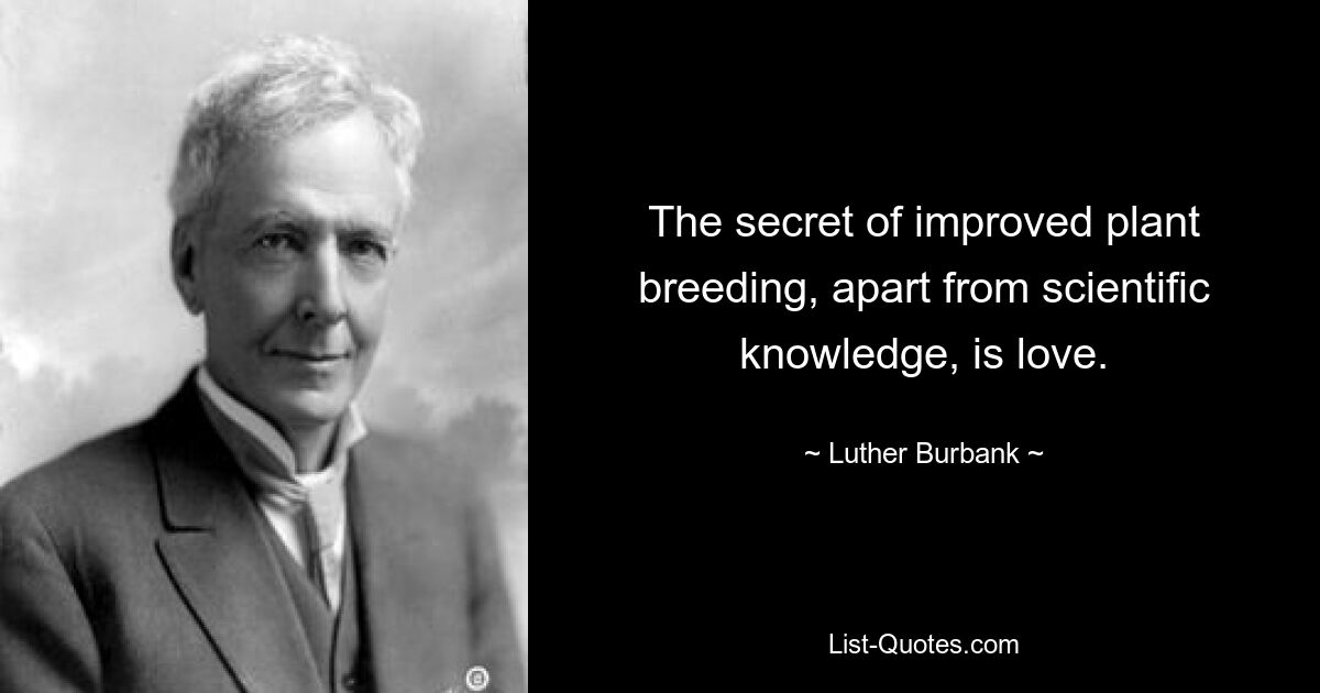 The secret of improved plant breeding, apart from scientific knowledge, is love. — © Luther Burbank