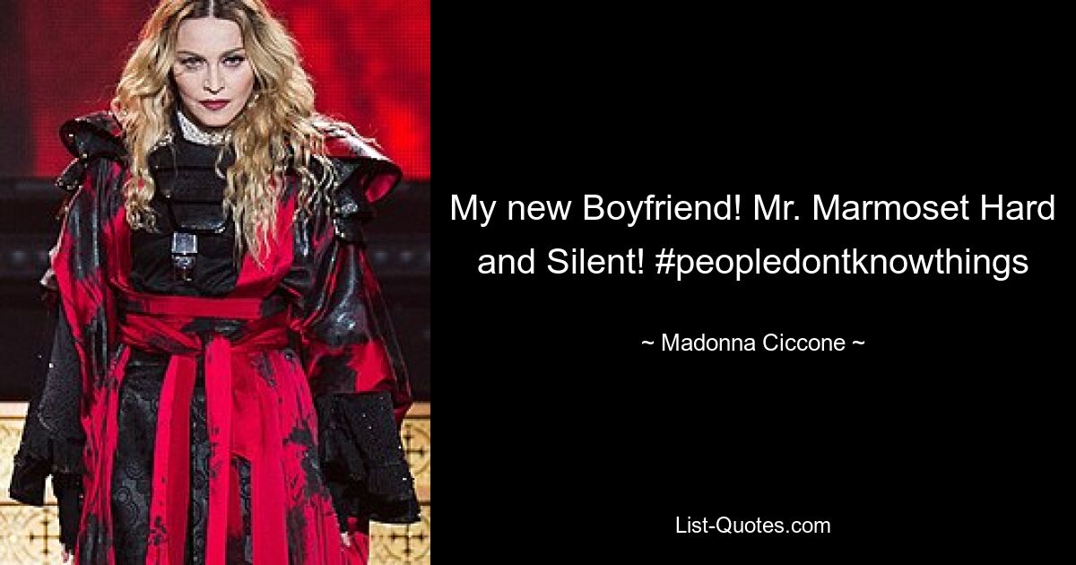 My new Boyfriend! Mr. Marmoset Hard and Silent! #peopledontknowthings — © Madonna Ciccone