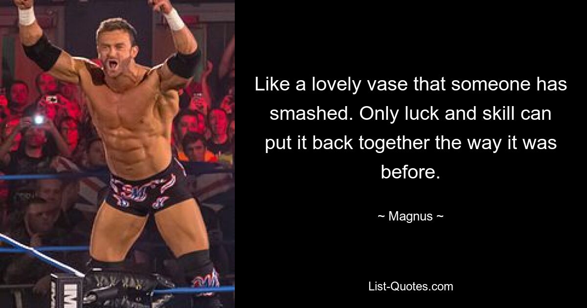 Like a lovely vase that someone has smashed. Only luck and skill can put it back together the way it was before. — © Magnus