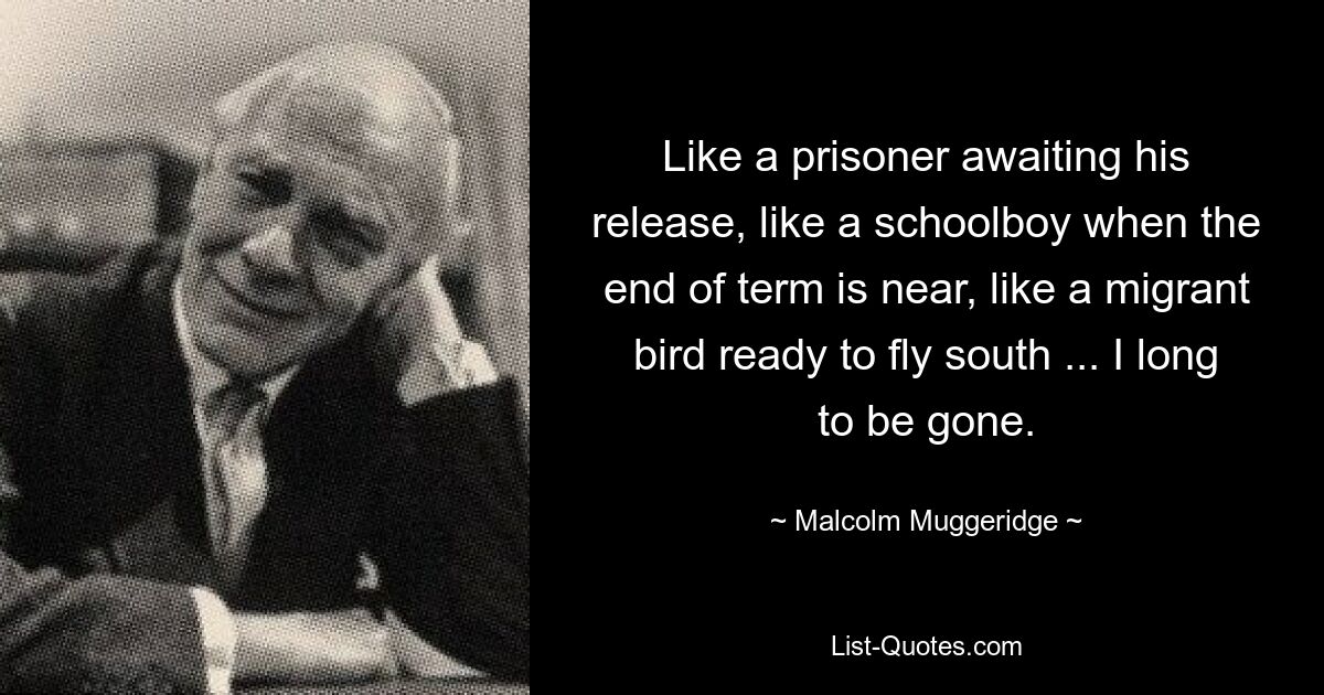 Like a prisoner awaiting his release, like a schoolboy when the end of term is near, like a migrant bird ready to fly south ... I long to be gone. — © Malcolm Muggeridge