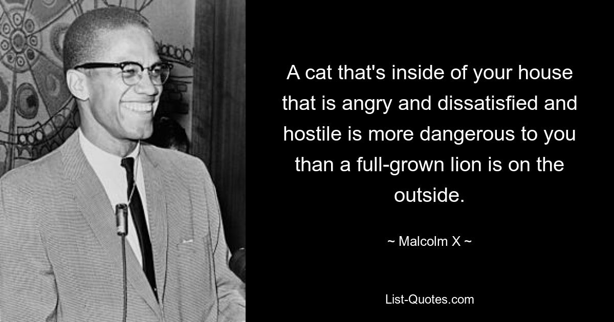 A cat that's inside of your house that is angry and dissatisfied and hostile is more dangerous to you than a full-grown lion is on the outside. — © Malcolm X