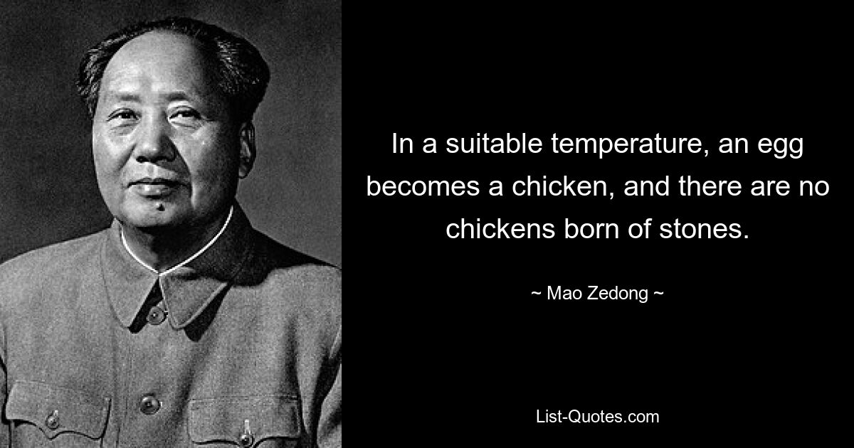 Bei geeigneter Temperatur wird aus einem Ei ein Huhn, und aus Steinen entstehen keine Hühner. — © Mao Zedong