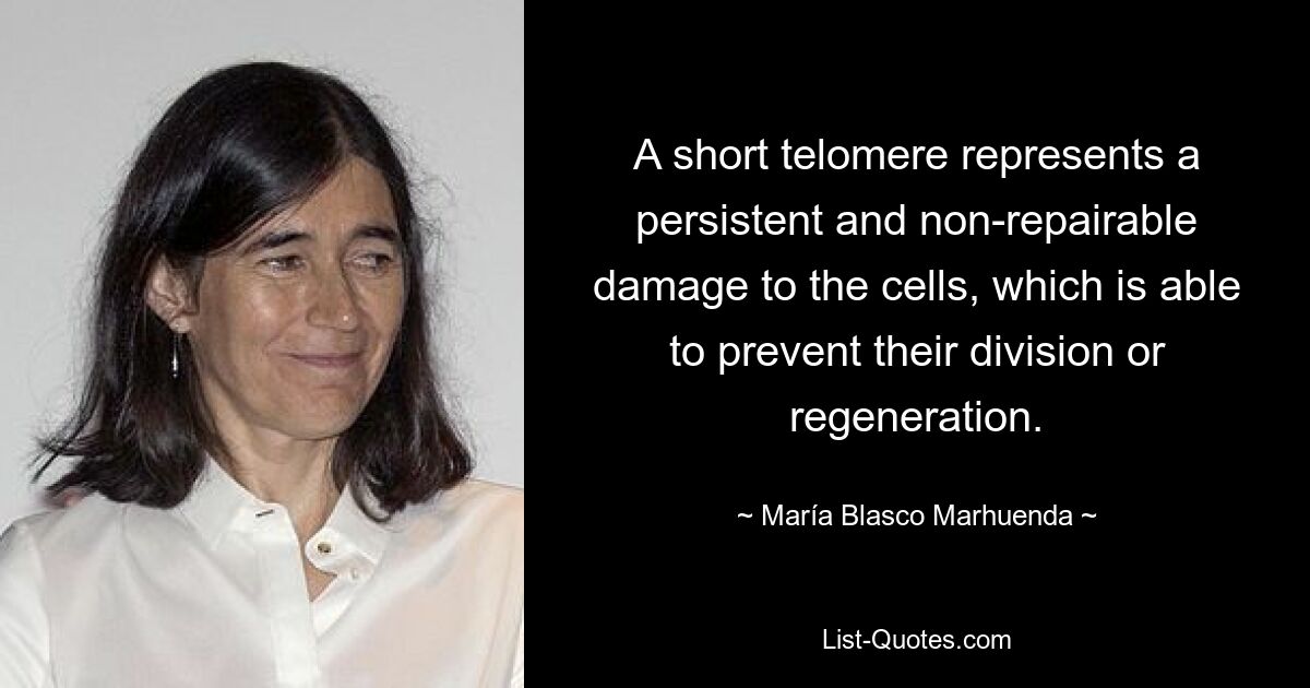 A short telomere represents a persistent and non-repairable damage to the cells, which is able to prevent their division or regeneration. — © María Blasco Marhuenda