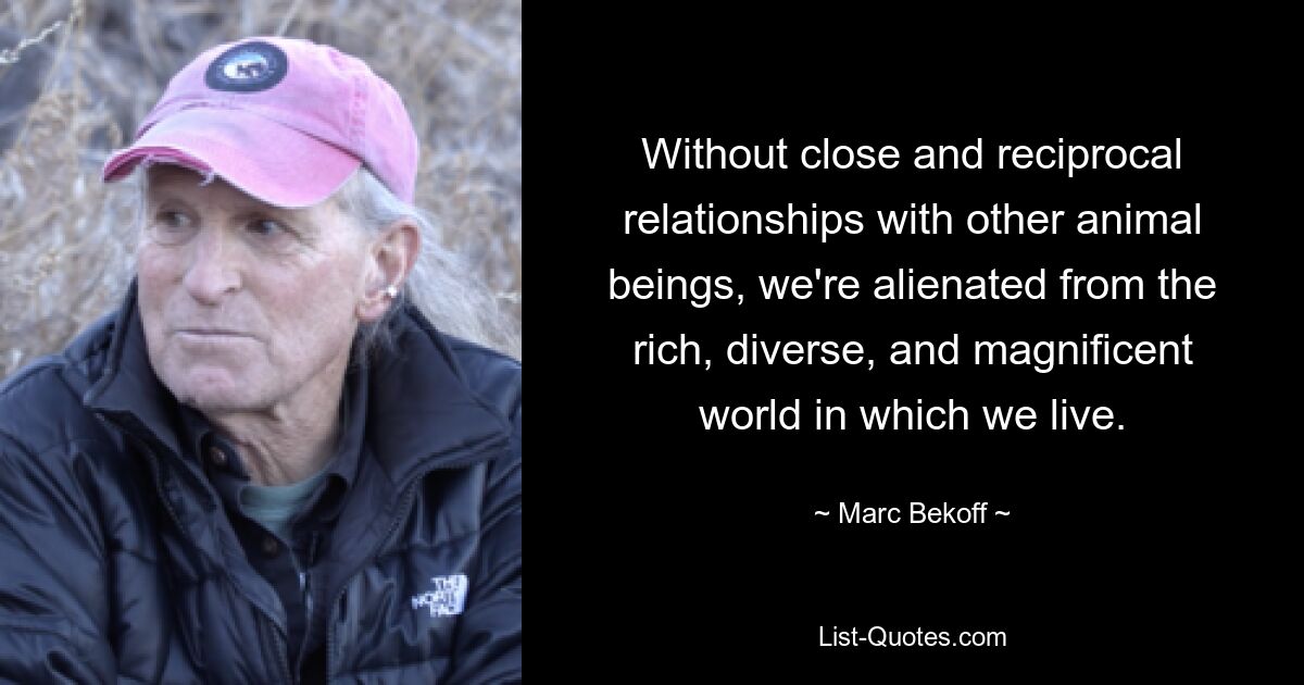 Without close and reciprocal relationships with other animal beings, we're alienated from the rich, diverse, and magnificent world in which we live. — © Marc Bekoff