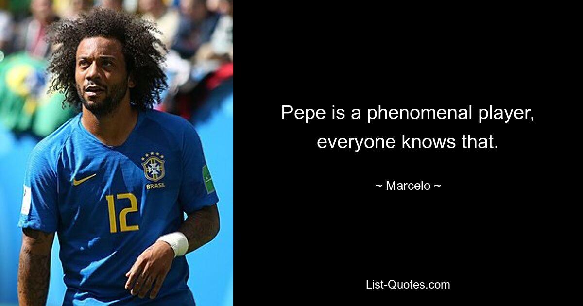 Pepe is a phenomenal player, everyone knows that. — © Marcelo