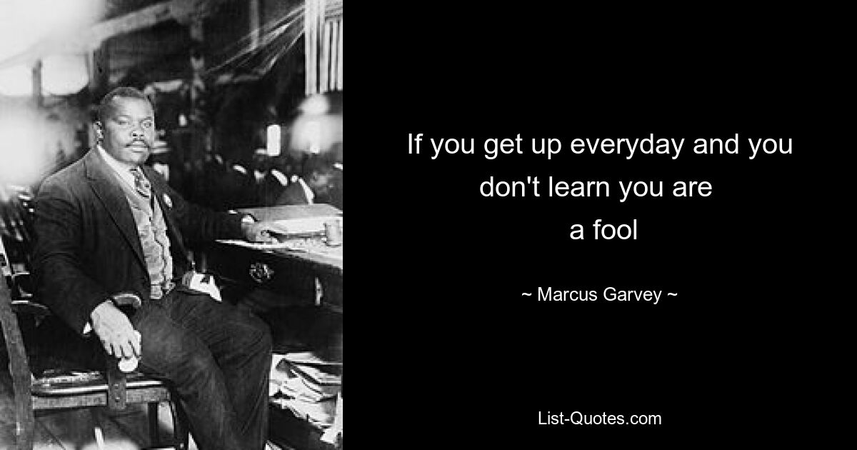 If you get up everyday and you don't learn you are 
 a fool — © Marcus Garvey