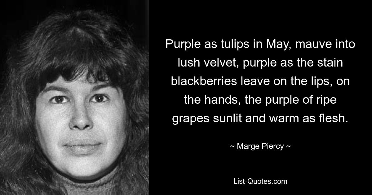 Purple as tulips in May, mauve into lush velvet, purple as the stain blackberries leave on the lips, on the hands, the purple of ripe grapes sunlit and warm as flesh. — © Marge Piercy