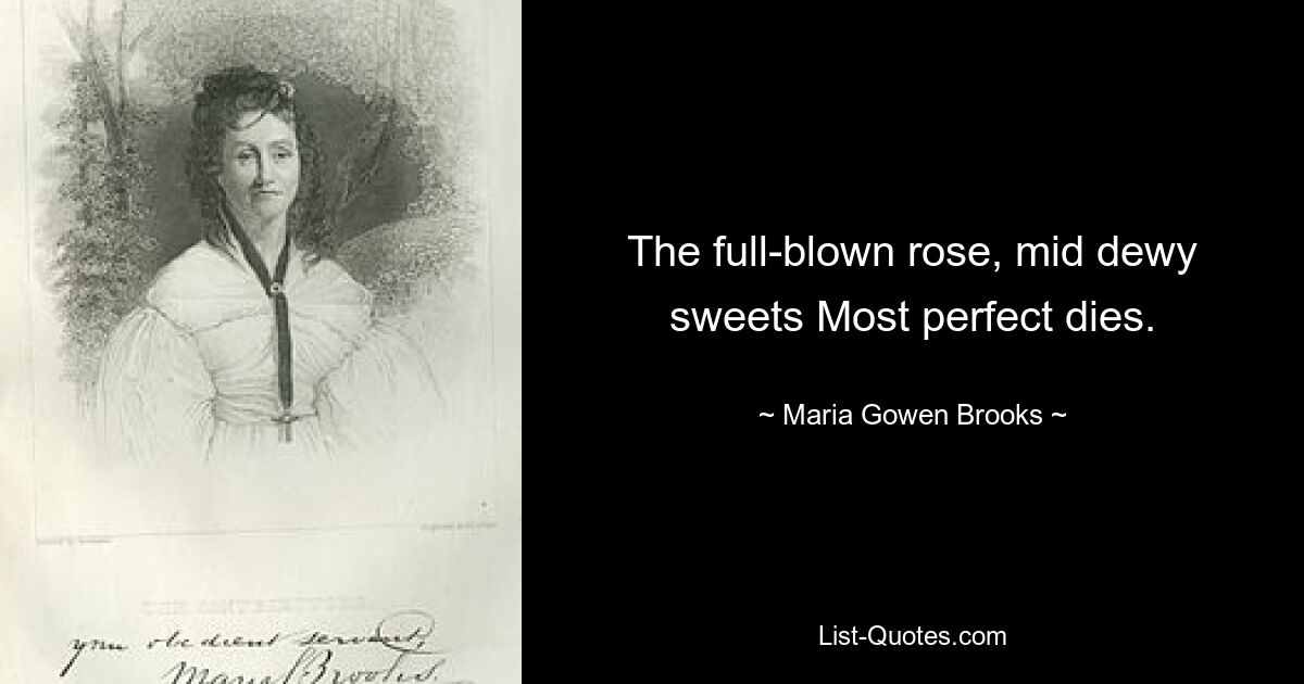 The full-blown rose, mid dewy sweets Most perfect dies. — © Maria Gowen Brooks